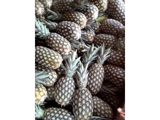 Ananas fruit de CCAB