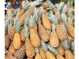 Ananas fruits frais de la FENACOPAB, un goût, une qualité exceptionnelle, une seule origine